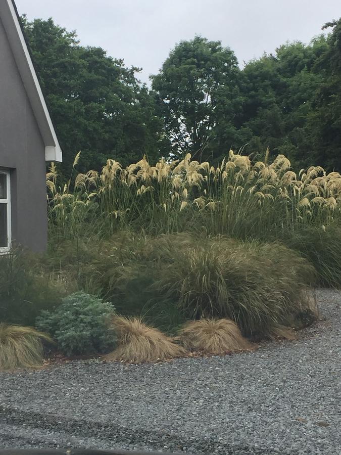 The Wendy Hoose Bed & Breakfast Nairn Dış mekan fotoğraf